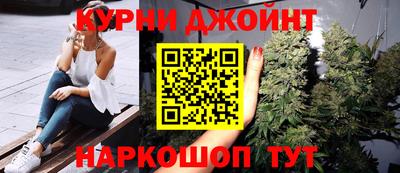 гашик Дмитров