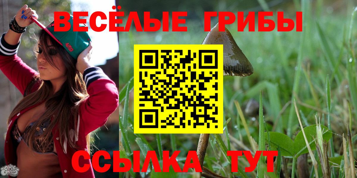 Галлюциногенные грибы мухоморы Кушва